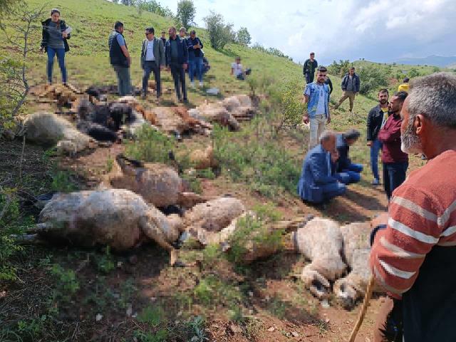 Çoban kafasını gökyüzüne kaldırınca dehşete düştü! Kaşla göz arasında tüm koyun sürüsü küle döndü