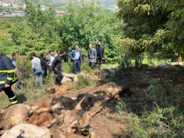 Çoban kafasını gökyüzüne kaldırınca dehşete düştü! Kaşla göz arasında tüm koyun sürüsü küle döndü