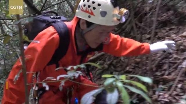 Bilim insanları aylardır hazırlık yaptıkları mağaranın içine girdi: Burası resmen başka bir boyut Bilim insanları aylardır hazırlık yaptıkları mağaranın içine girdi: Burası resmen başka bir boyut