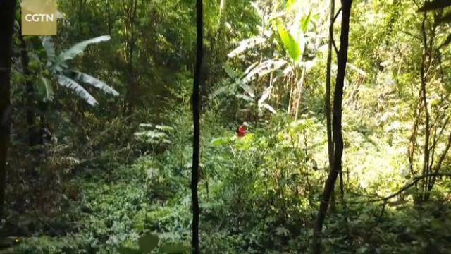 Bilim insanları aylardır hazırlık yaptıkları mağaranın içine girdi: Burası resmen başka bir boyut Bilim insanları aylardır hazırlık yaptıkları mağaranın içine girdi: Burası resmen başka bir boyut