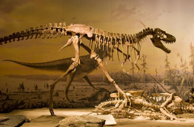 Çin'de 125 milyon yıllık otçul dinozor fosili bulundu
