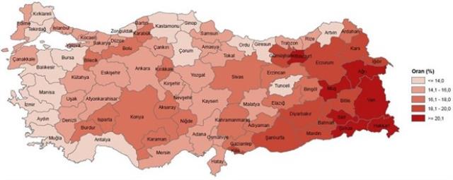 Türkiye'de genç nüfusun en fazla kent Hakkari, en az olduğu kent ise Muğla oldu