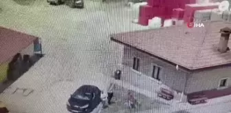 Sokak köpeğini besleyen kadını böyle darp ettiler