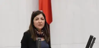 Züleyha Gülüm'den Fuat Oktay'a: 'Rabıta Vakfı Korunuyor Mu'