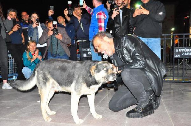 19 Mayıs'ı sahnede kutlayan Haluk Levent, sokak köpeğiyle yere uzanarak şarkı söyledi 19 Mayıs'ı sahnede kutlayan Haluk Levent, sokak köpeğiyle yere uzanarak şarkı söyledi