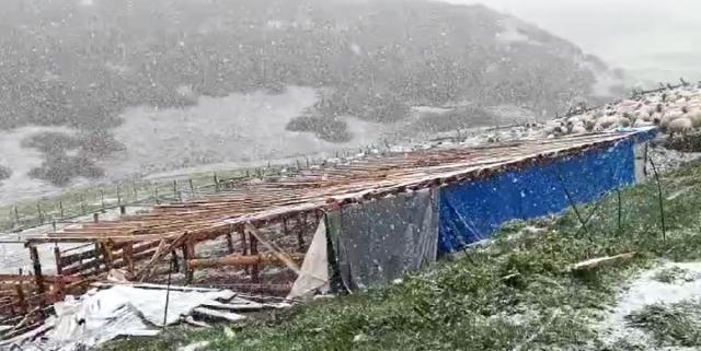 Mayıs ayında kar sürprizi! Hava sıcaklıklarının aniden düşmesiyle 12 il beyaza büründü Mayıs ayında kar sürprizi! Hava sıcaklıklarının aniden düşmesiyle 12 il beyaza büründü