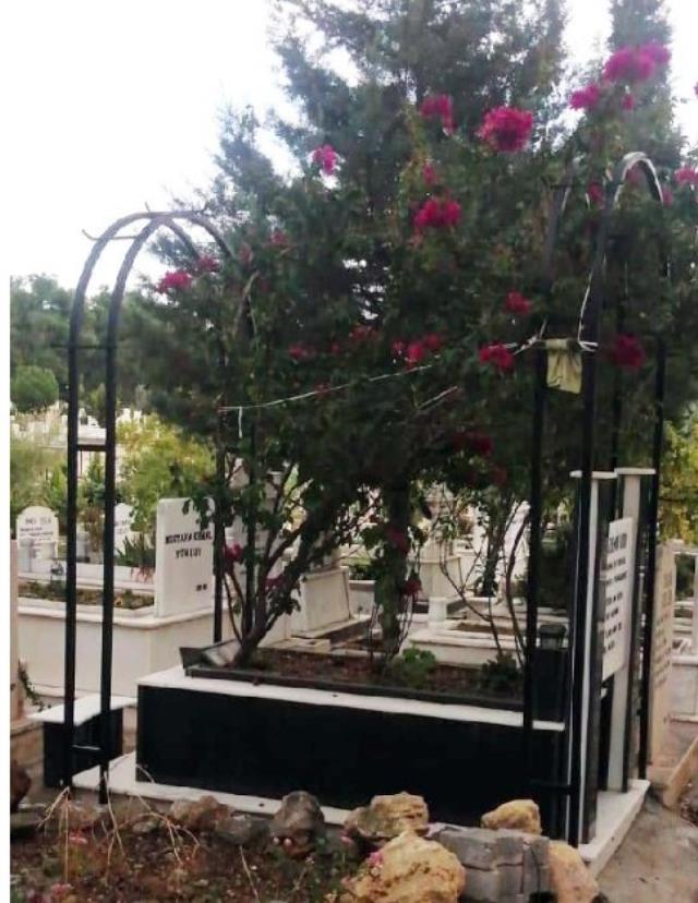 Babasının mezar demirleri çalındı, manzarayı gören evlat hüngür hüngür ağladı Babasının mezar demirleri çalındı, manzarayı gören evlat hüngür hüngür ağladı