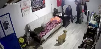 İşyerine giren gencin köpekten korktuğu anlar kamerada