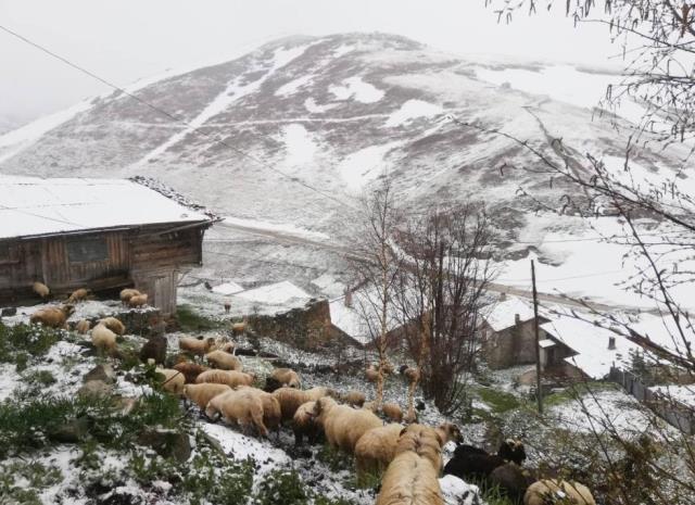 Bayburt Haziran ayına günler kala beyaza büründü Bayburt Haziran ayına günler kala beyaza büründü