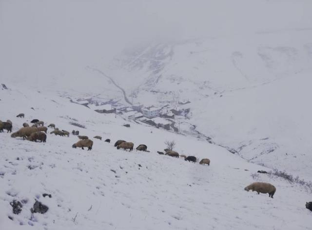 Bayburt Haziran ayına günler kala beyaza büründü Bayburt Haziran ayına günler kala beyaza büründü