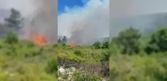 Dikili ve Karaburun'da Orman Yangını