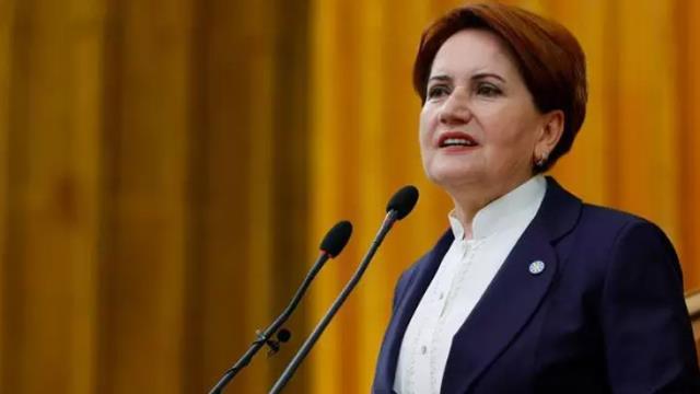 Meral Akşener'in Abdülhamid Han ile ilgili sözlerine torunundan yanıt geldi: Biz geriye dönersek siz deliye dönersiniz