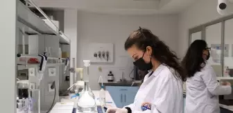 Çevre için kritik önemdeki membranları geliştirip aynı zamanda ihraç ediyorlar