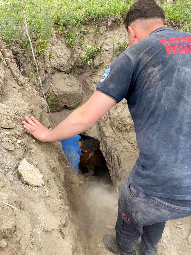 Kayıp inek kuyudan çıktı Kayıp inek kuyudan çıktı