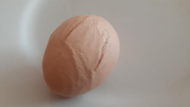 Kümeste tavuğun altındaki yumurtayı gören adam panikledi: Korkup oğlumu çağırdım Kümeste tavuğun altındaki yumurtayı gören adam panikledi: Korkup oğlumu çağırdım
