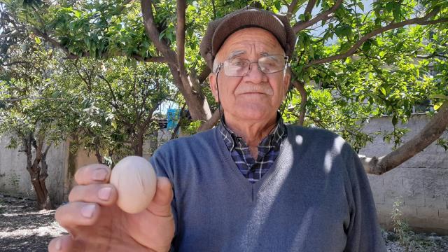 Kümeste tavuğun altındaki yumurtayı gören adam panikledi: Korkup oğlumu çağırdım Kümeste tavuğun altındaki yumurtayı gören adam panikledi: Korkup oğlumu çağırdım