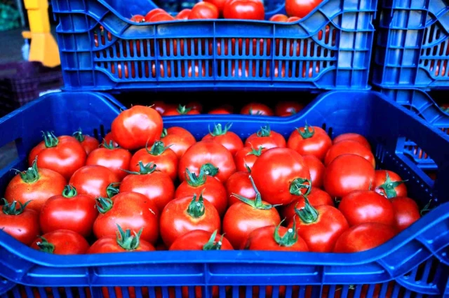 Pazarcılar tarih verdi: Meyve ve sebze fiyatları 2 hafta içerisinde yarı yarıya düşecek