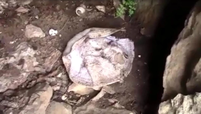 4 yıl önce cinayet uğrayan şahsın eşyaları ve kemik parçaları Kato Dağı eteklerinde bulundu