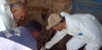 Malatya'da bir mahallede KKKA nedeniyle ilaçlama yapıldı