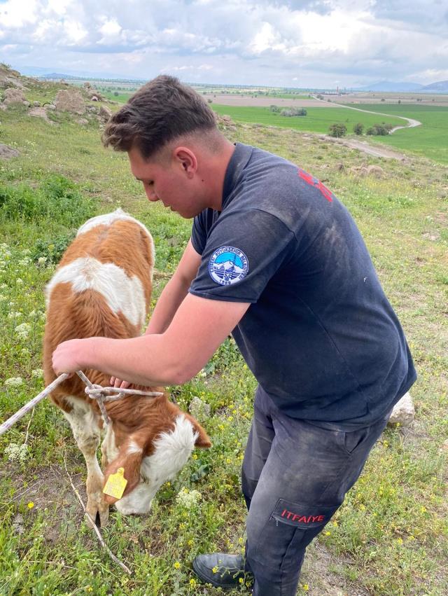Tüm köyde arıyorlardı! Definecilerin kazdığı kuyunun içine giren ekip büyük sevinç yaşadı Tüm köyde arıyorlardı! Definecilerin kazdığı kuyunun içine giren ekip büyük sevinç yaşadı
