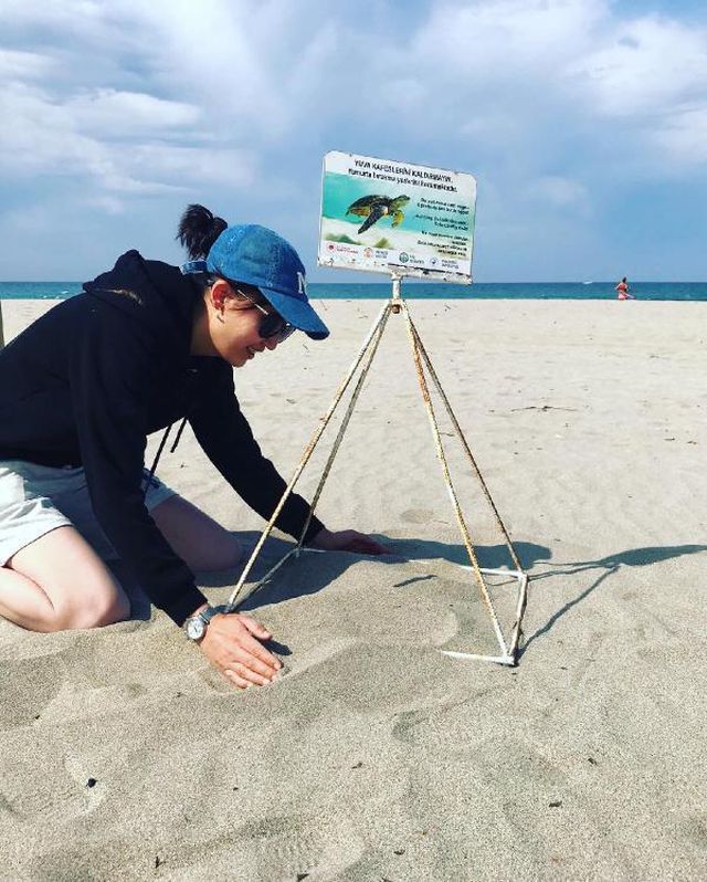 Yaz geldi, plajda yürürken 109 bin TL'nizden olmayın! Caretta caretta yasağına dikkat
