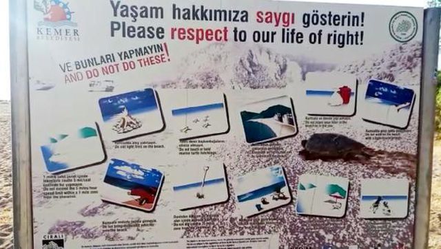 Yaz geldi, plajda yürürken 109 bin TL'nizden olmayın! Caretta caretta yasağına dikkat