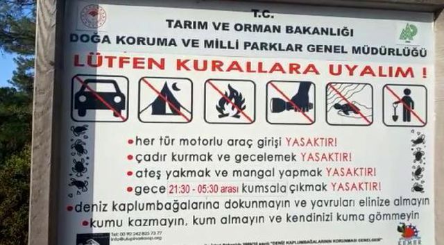 Yaz geldi, plajda yürürken 109 bin TL'nizden olmayın! Caretta caretta yasağına dikkat