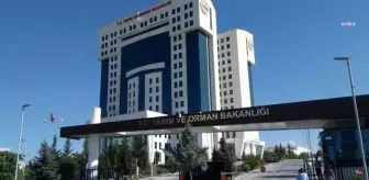 Tarım ve Orman Bakanlığı, İmalatçılara Şeker İthalatı Yetkisi Vermek İçin Çalışma Başlattığını Açıkladı