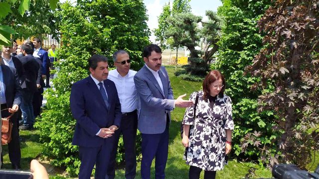 Çevre ve Şehircilik Bakanı Murat Kurum, 350 yıllık zeytin ağacı altında Atatürk Havalimanı projesini anlattı