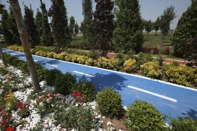 Atatürk Havalimanı Millet Bahçesi'ne 145 bin 300 ağaç dikilecek