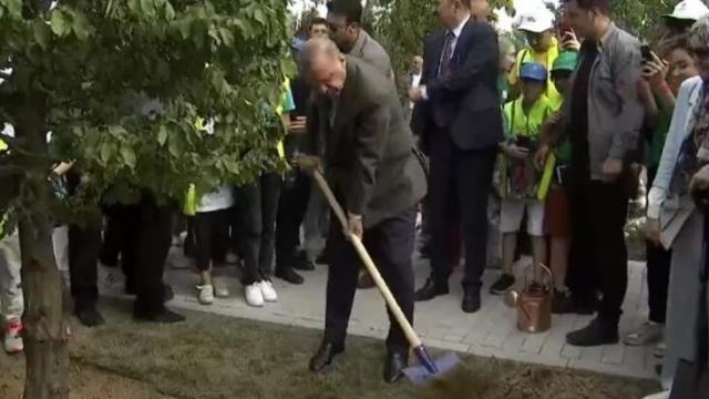 Cumhurbaşkanı Erdoğan Atatürk Havalimanı Millet Bahçesi'nde ilk fidanı dikti