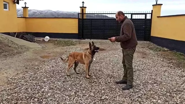 Tavuk çiftliğini koruması için satın aldığı genetiğiyle oynanmış kurt köpeği boğazına saldırıp, parmağını kopardı