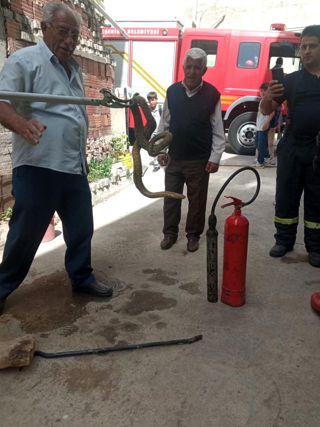 Karşılarında 2 metrelik yılanı görünce neye uğradıklarını şaşırdılar Karşılarında 2 metrelik yılanı görünce neye uğradıklarını şaşırdılar