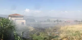 Manisa'da buğday tarlası ve üzüm bağı yandı