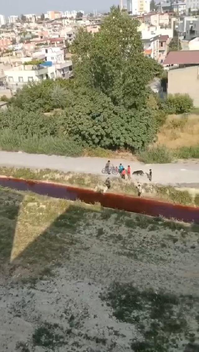 Mersin'de mahalleden geçen su kırmızı renge büründü! Yetkililer inceleme başlattı Mersin'de mahalleden geçen su kırmızı renge büründü! Yetkililer inceleme başlattı