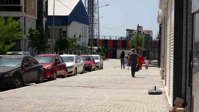 Başıboş köpekler, başına üşüştükleri kediyi dakikalar içerisinde parçaladı