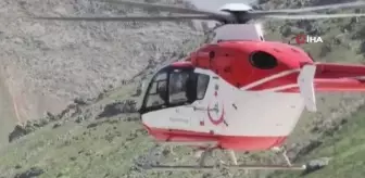 Hastalanan bebek, helikopterle sevk edildi