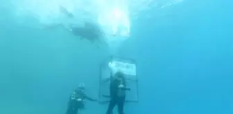 Kaş'ta, su altına atık konteyneri indirildi