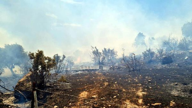 Havalar ısındı, kabus yeniden başladı! Bodrum'daki yangına acilen müdahale edildi Havalar ısındı, kabus yeniden başladı! Bodrum'daki yangına acilen müdahale edildi