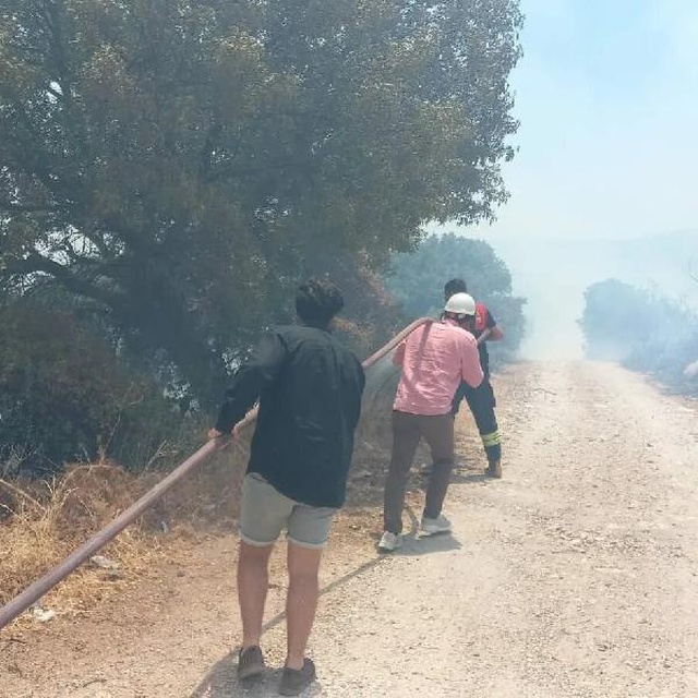 Havalar ısındı, kabus yeniden başladı! Bodrum'daki yangına acilen müdahale edildi Havalar ısındı, kabus yeniden başladı! Bodrum'daki yangına acilen müdahale edildi
