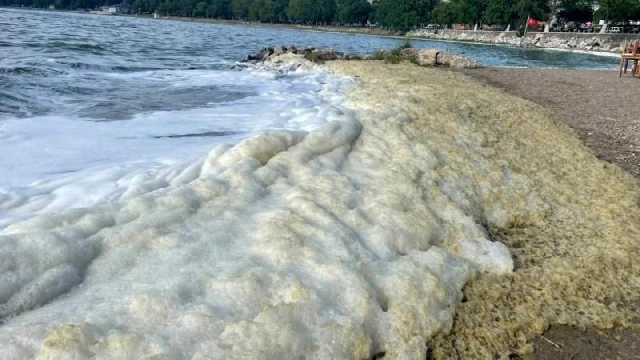 Bursa'da siyanobakteri alarmı! İznik Gölü'ne girmek yasaklandı