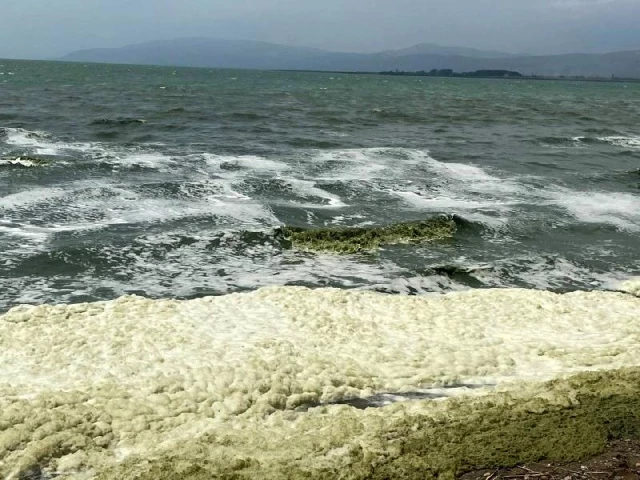 Bursa'da siyanobakteri alarmı! İznik Gölü'ne girmek yasaklandı