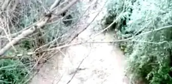 Sağanak yağış Yeşilhisar'da su taşkınına neden oldu