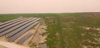 Tarıma uygun olmayan arazi 'güneş tarlası'na dönüştürüldü