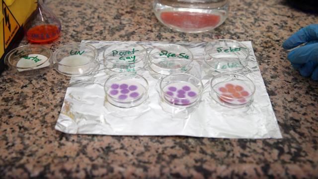 Tek bir poşet çayda 13 bin mikroplastik parçacığı tespit edildi! Hepsi içeceğe geçiyor