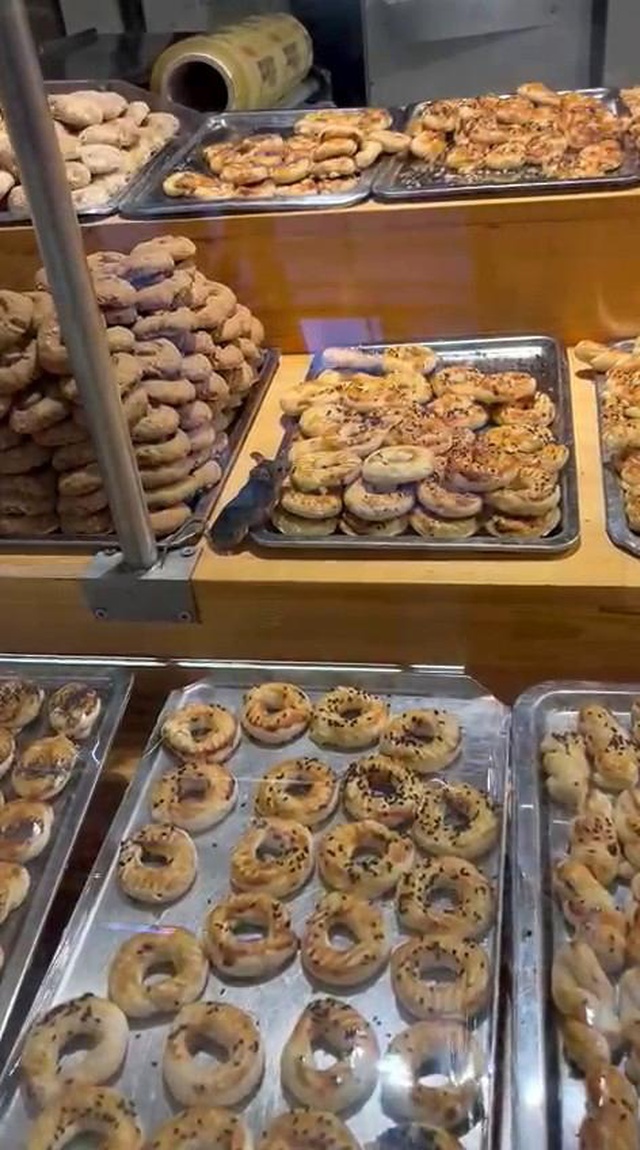 Ünlü market zincirinde skandal görüntüler! Kocaman fare dolabın içerisine sızıp kurabiyelerin tadına baktı Ünlü market zincirinde skandal görüntüler! Kocaman fare dolabın içerisine sızıp kurabiyelerin tadına baktı