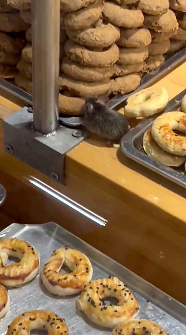 Ünlü market zincirinde skandal görüntüler! Kocaman fare dolabın içerisine sızıp kurabiyelerin tadına baktı Ünlü market zincirinde skandal görüntüler! Kocaman fare dolabın içerisine sızıp kurabiyelerin tadına baktı