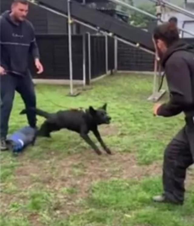 Efsane futbolcu soygun travmasını atlatamıyor! İşte 420 bin lira değerindeki yeni güvenlik köpeği