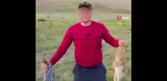 Vurdukları tavşanı köpeklere parçalattırıp sosyal medyada paylaştılar