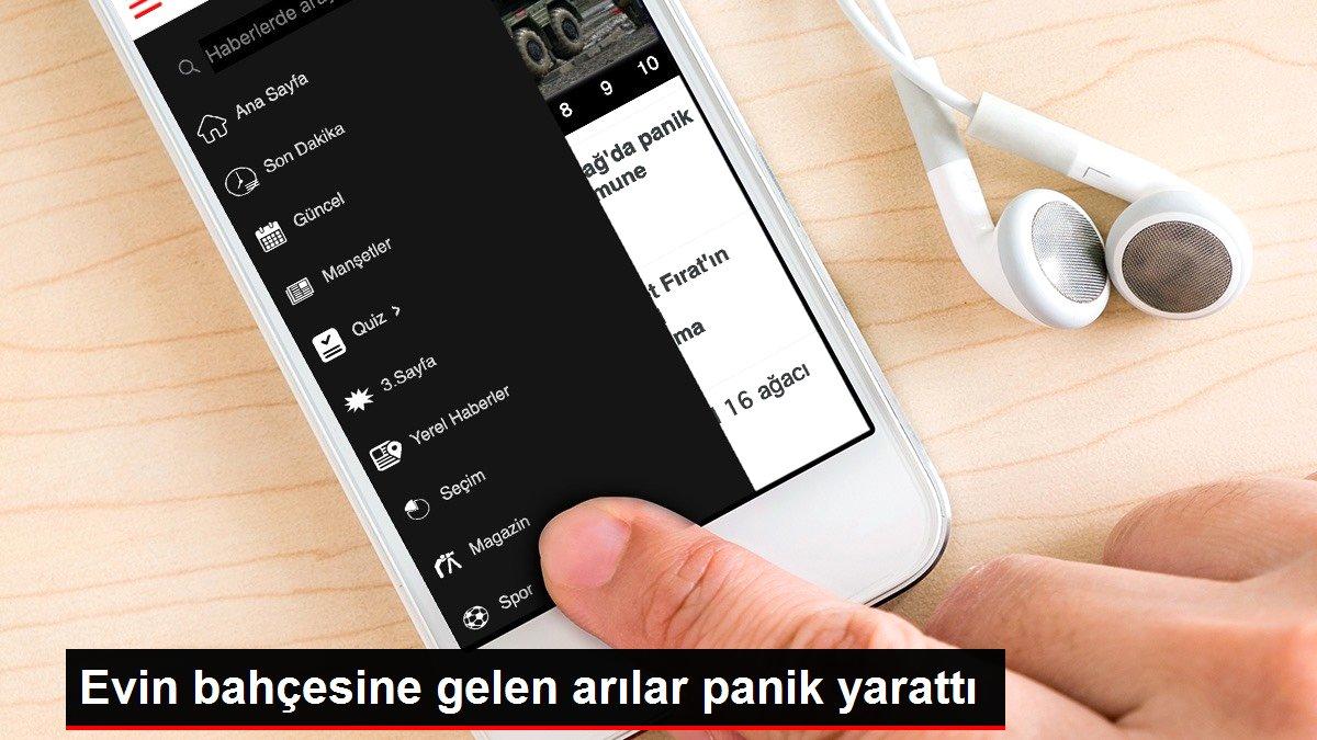 Evin bahçesine gelen arılar panik yarattı